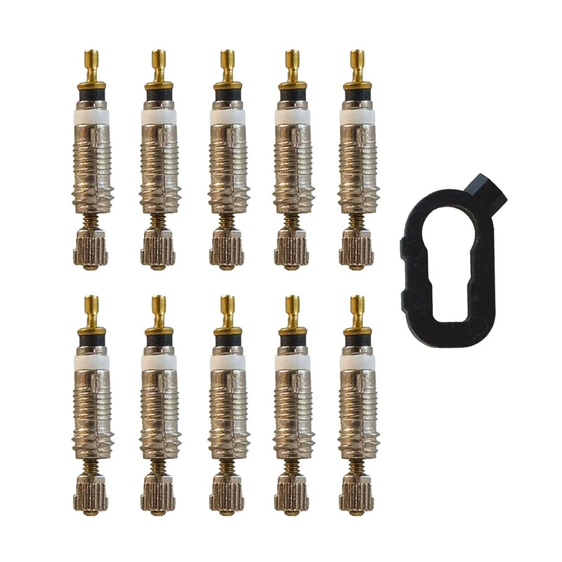 Campa Bros Kit 10 Nuclei Valvola presta