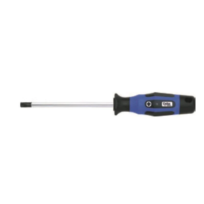 Cyclus Tools Cacciavite TX 10x80