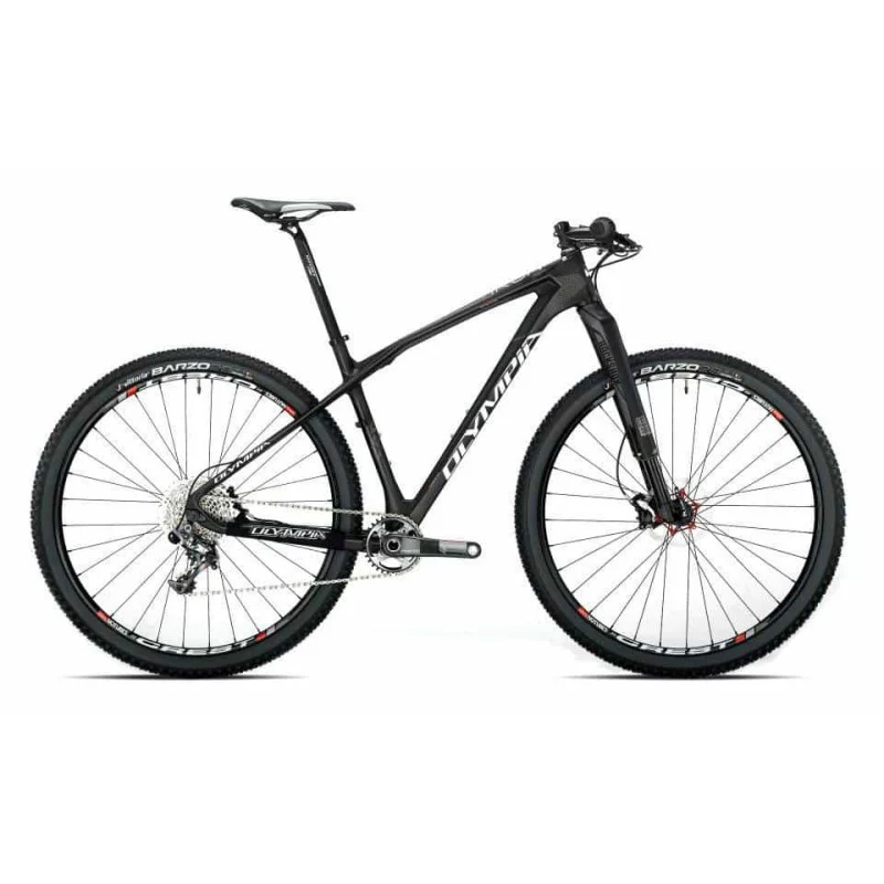 Olympia Bici MTB Iron 29" Sram XX1// ZTR Crest Fork Fox