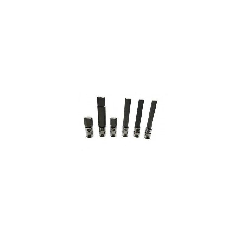 Pedros Bit-Set Dinamometrico Large Sizes 6 pezzi