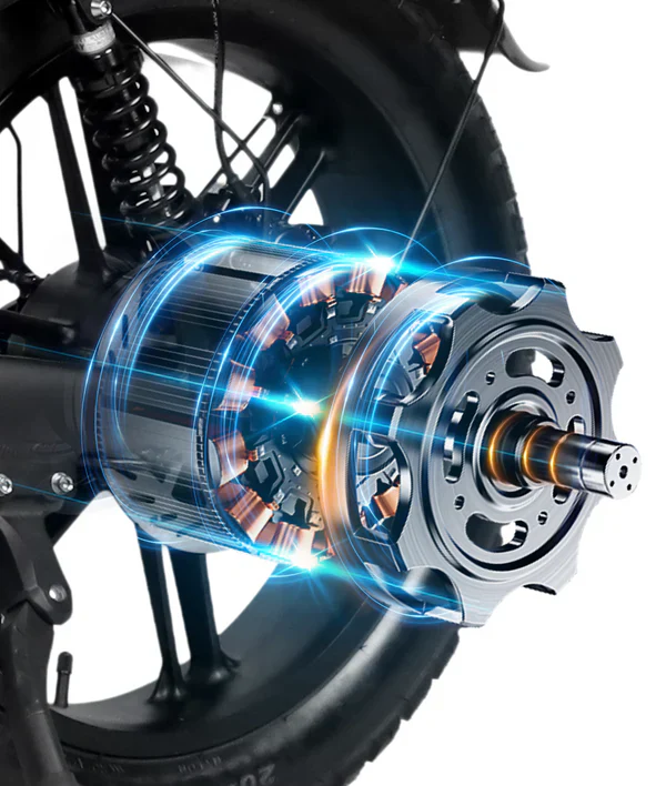 Victrip Bici Elettrica Fat Bike R5 PRO 250W/750W - Image 7