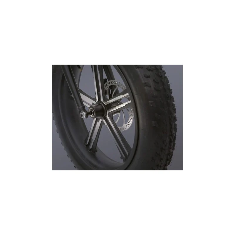 Wd99 Bici Fat Bike Rockers - Image 4