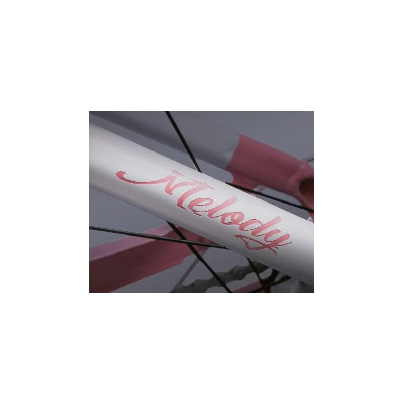 Wd99 Bici E-City Donna Melody 28” - Image 6
