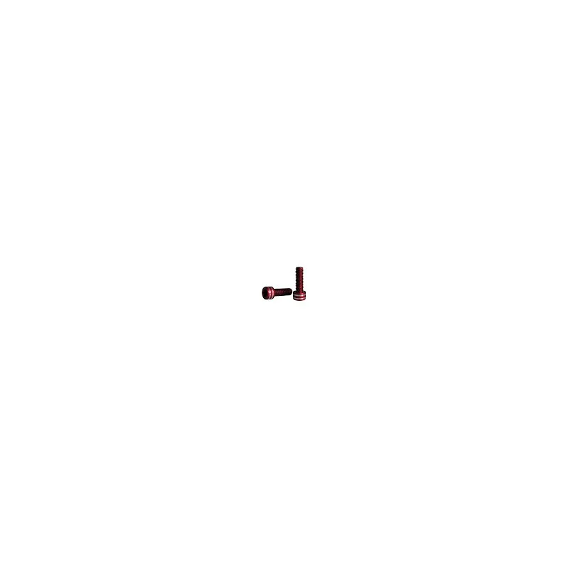 Xon Viti Portaborraccia M5x15mm (2 Pezzi) Rosso